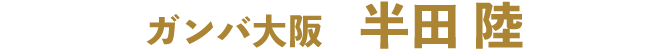 半田陸